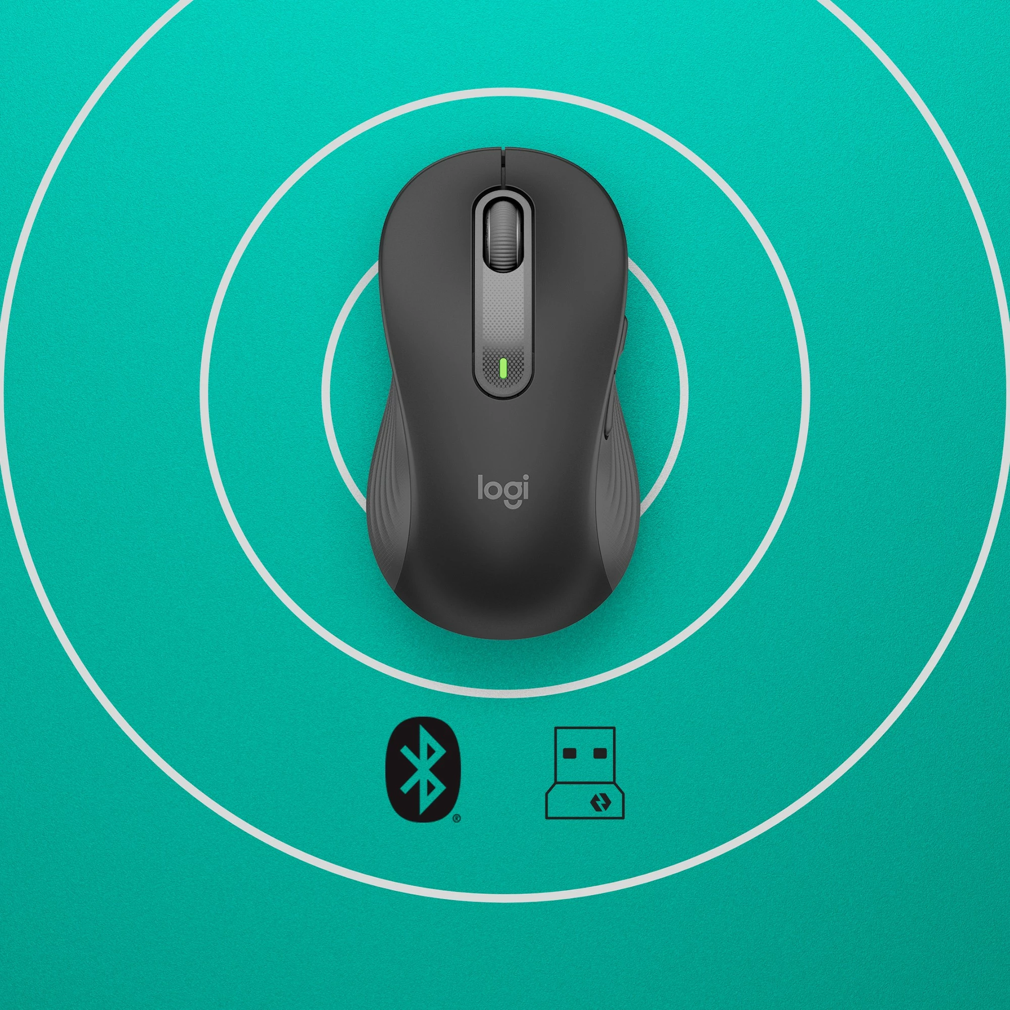 Maus Logitech Signature M650 L Wireless, majtak, optik, RF Wireless + Bluetooth, 4000 DPI, grafit