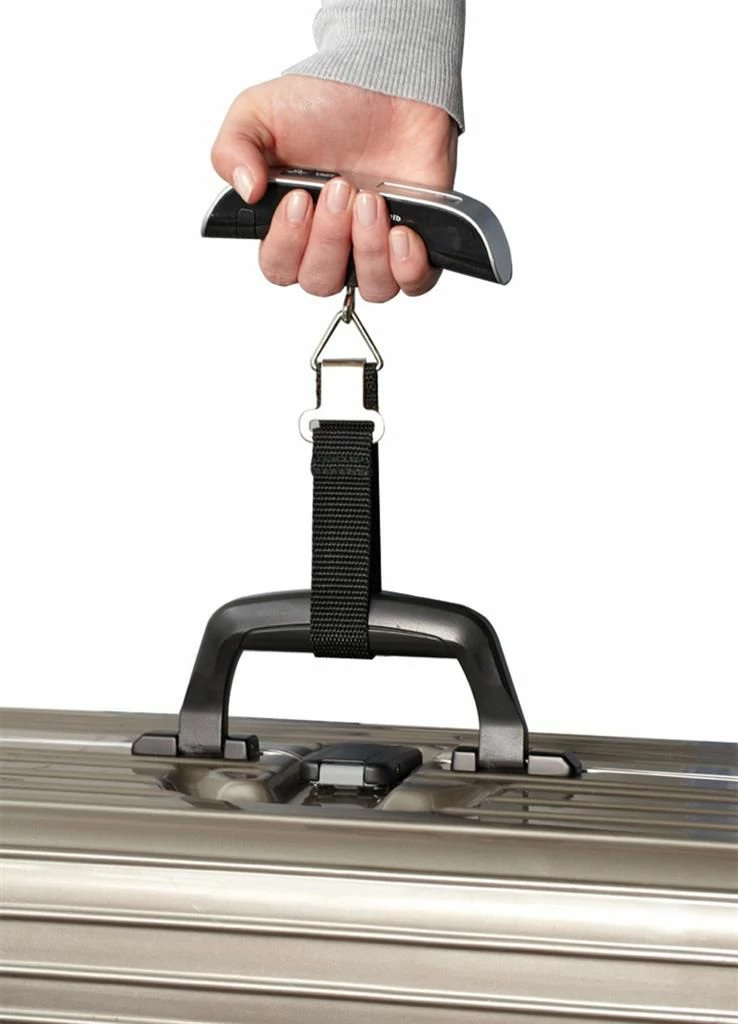 Peshore bagazhi Esperanza ETS002 Globetrotter 50 kg, argjend