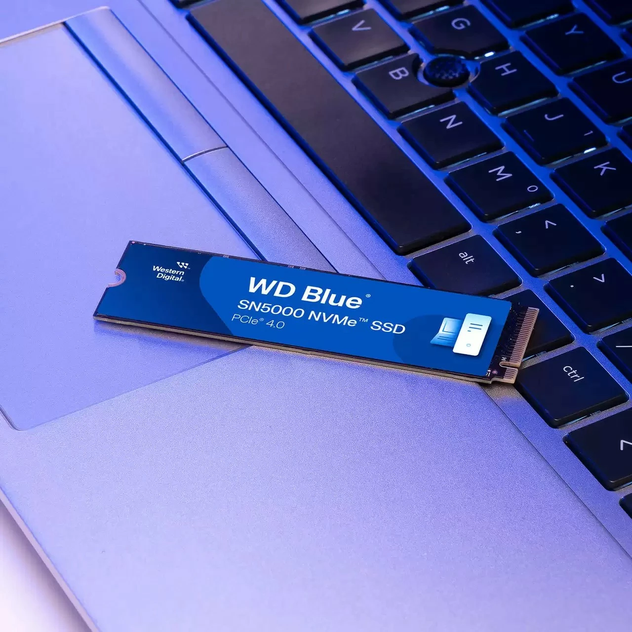 SSD Western Digital Blue SN5000, 500 GB, M.2, 5000 MB/s, Blu