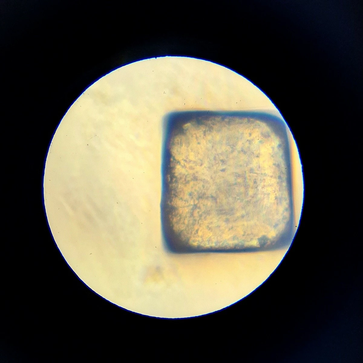 Mikroskop Lisciani I’m a Genius, set edukativ, plastikë, zmadhim deri 1200x, për fëmijë