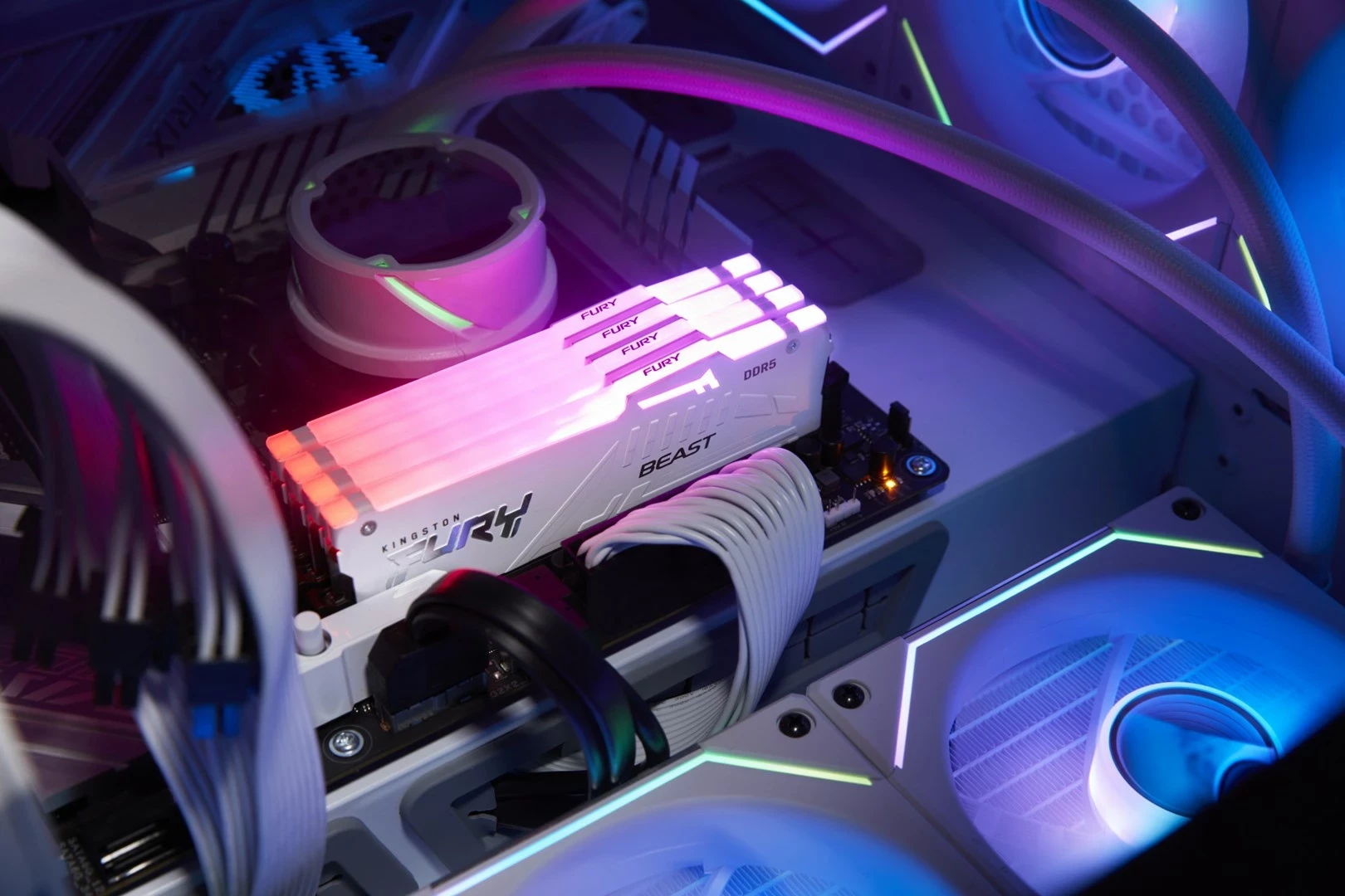 RAM Memorje Kingston FURY Beast 32GB 6000MT/s DDR5 CL36 RGB Bardhë