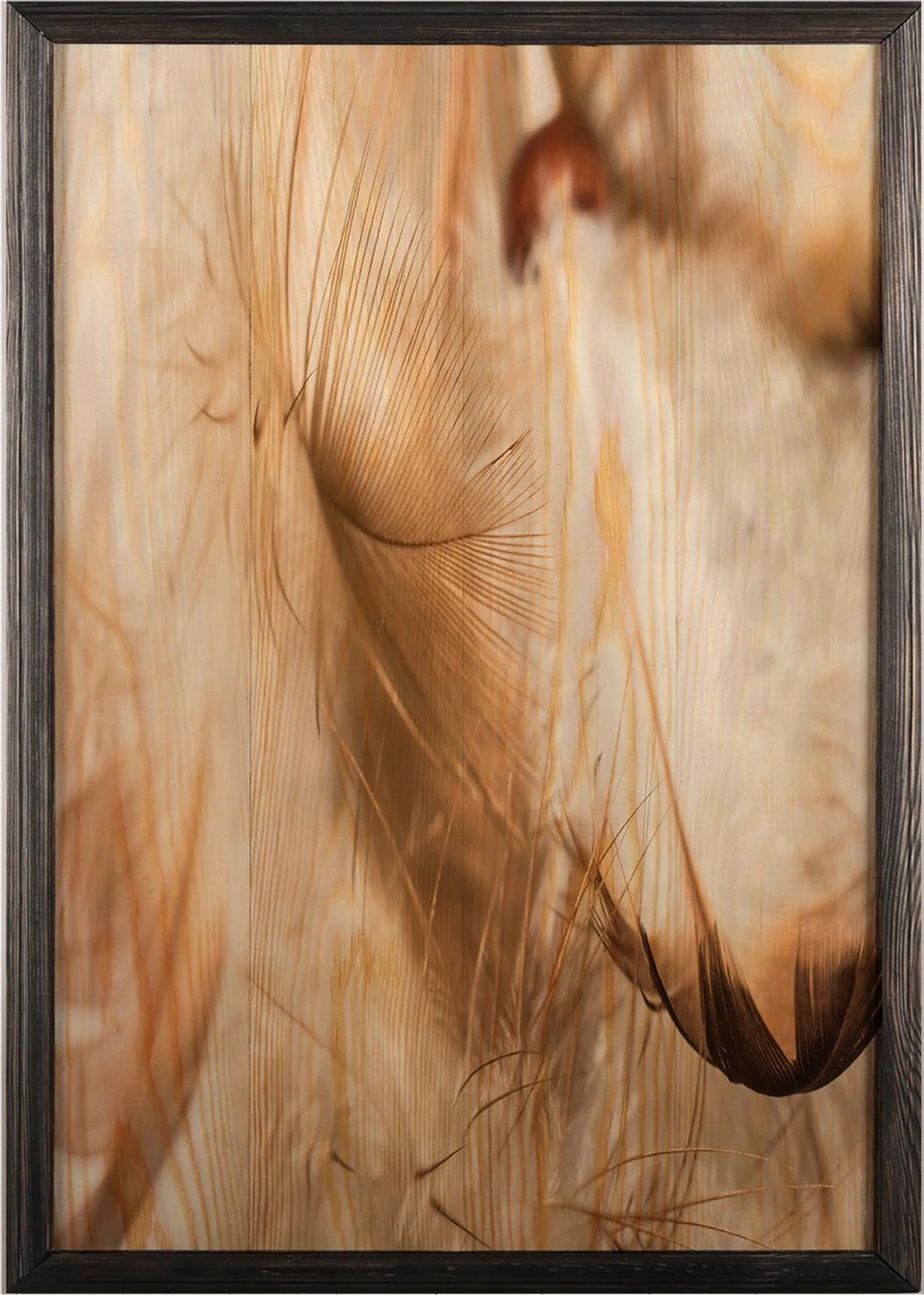 Pikturë dekorative me kornizë druri, Wallity, pendë, shumëngjyrëshe, 35x50cm