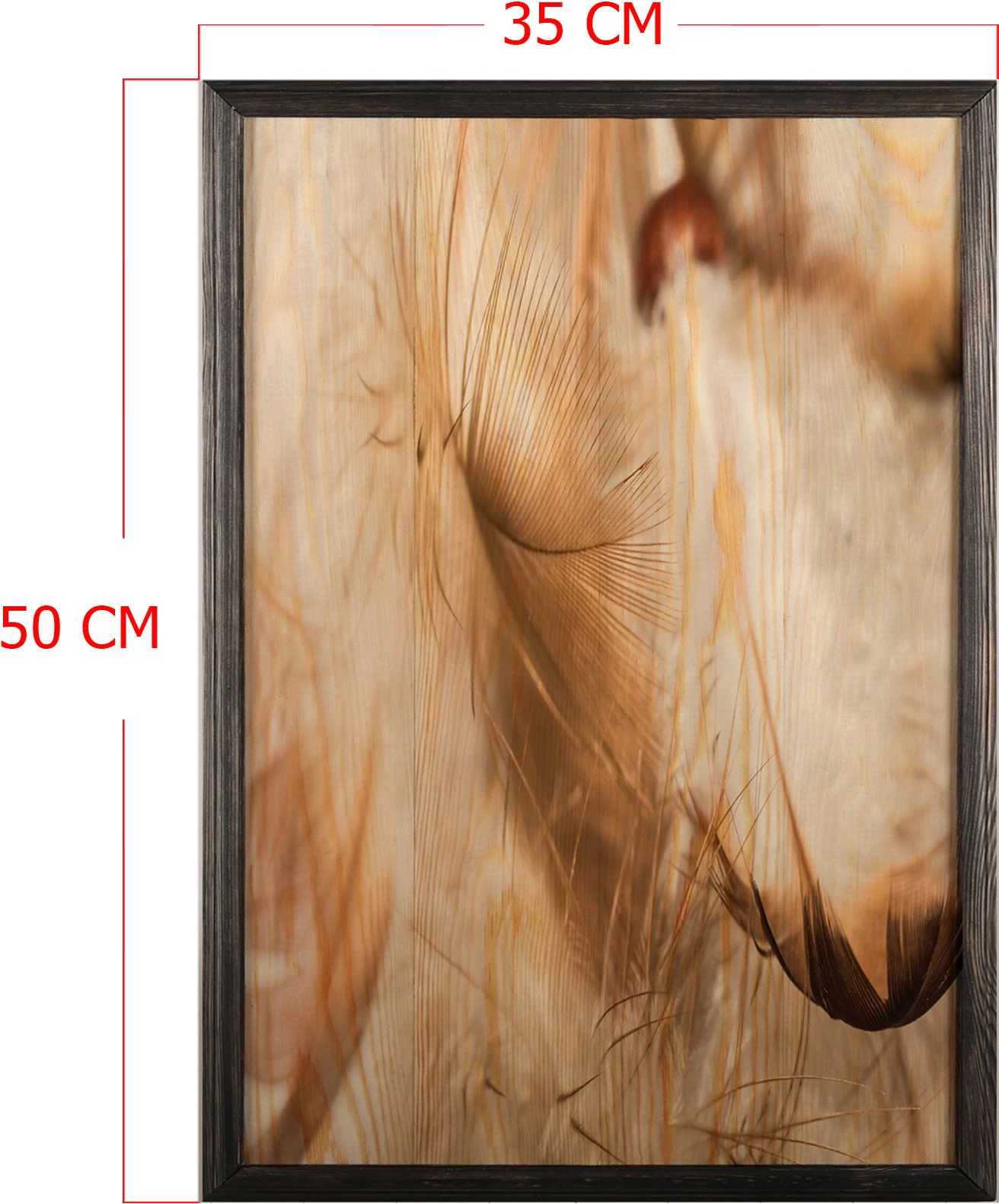 Pikturë dekorative me kornizë druri, Wallity, pendë, shumëngjyrëshe, 35x50cm