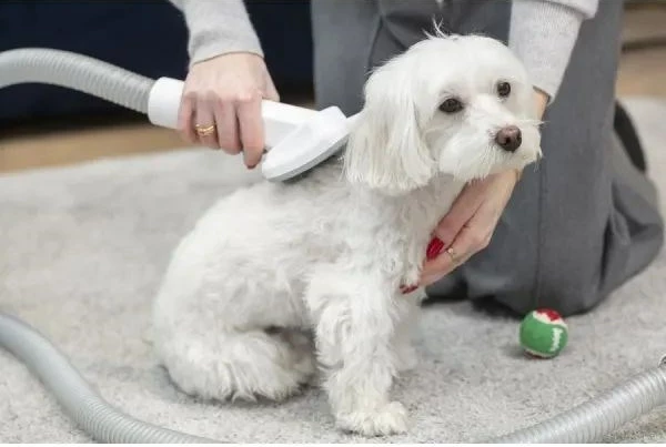 Pajisje kujdesi për kafshë MPM MOD-100, me fshesë me korrent dhe prerës qimesh, Gri