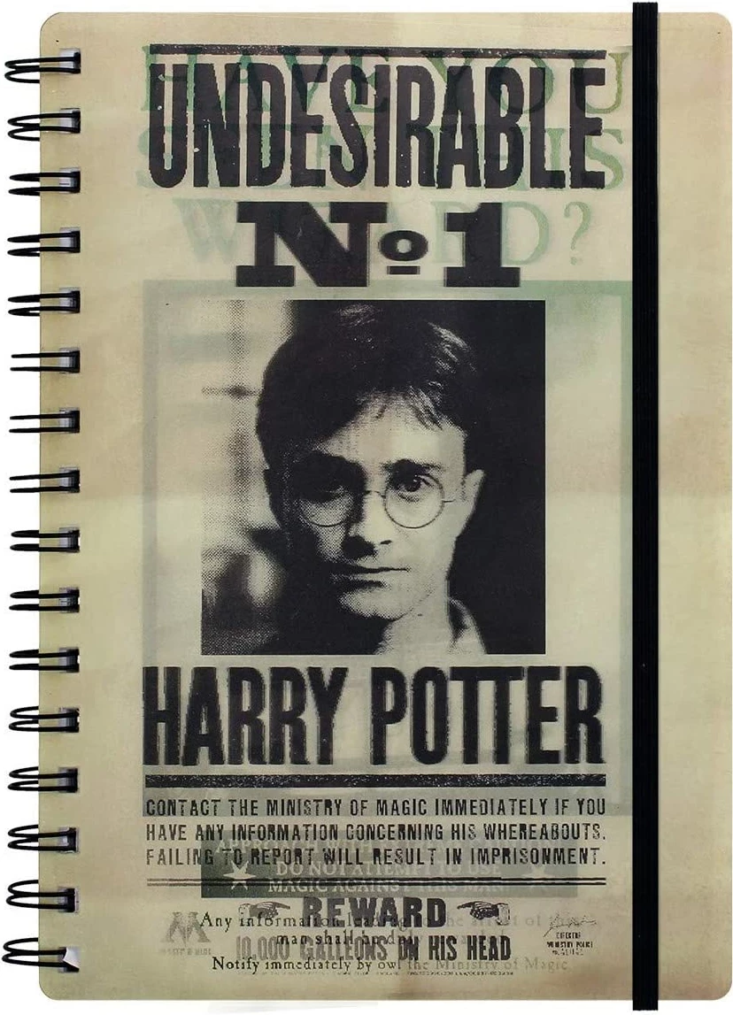 Fletore 3D Pyramid Harry Potter (Sirius & Harry) A5, me vija, spirale