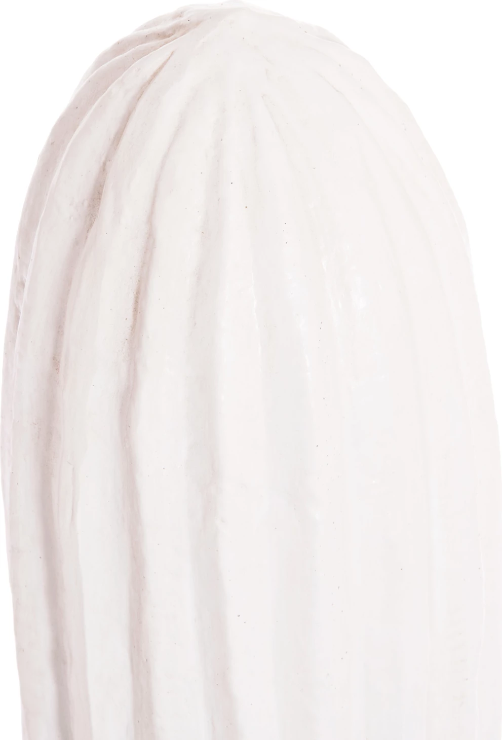 Kaktus dekorativ në dysheme, MDF, ngjyrë e bardhë, FH4386.02M, 54x34x103 cm