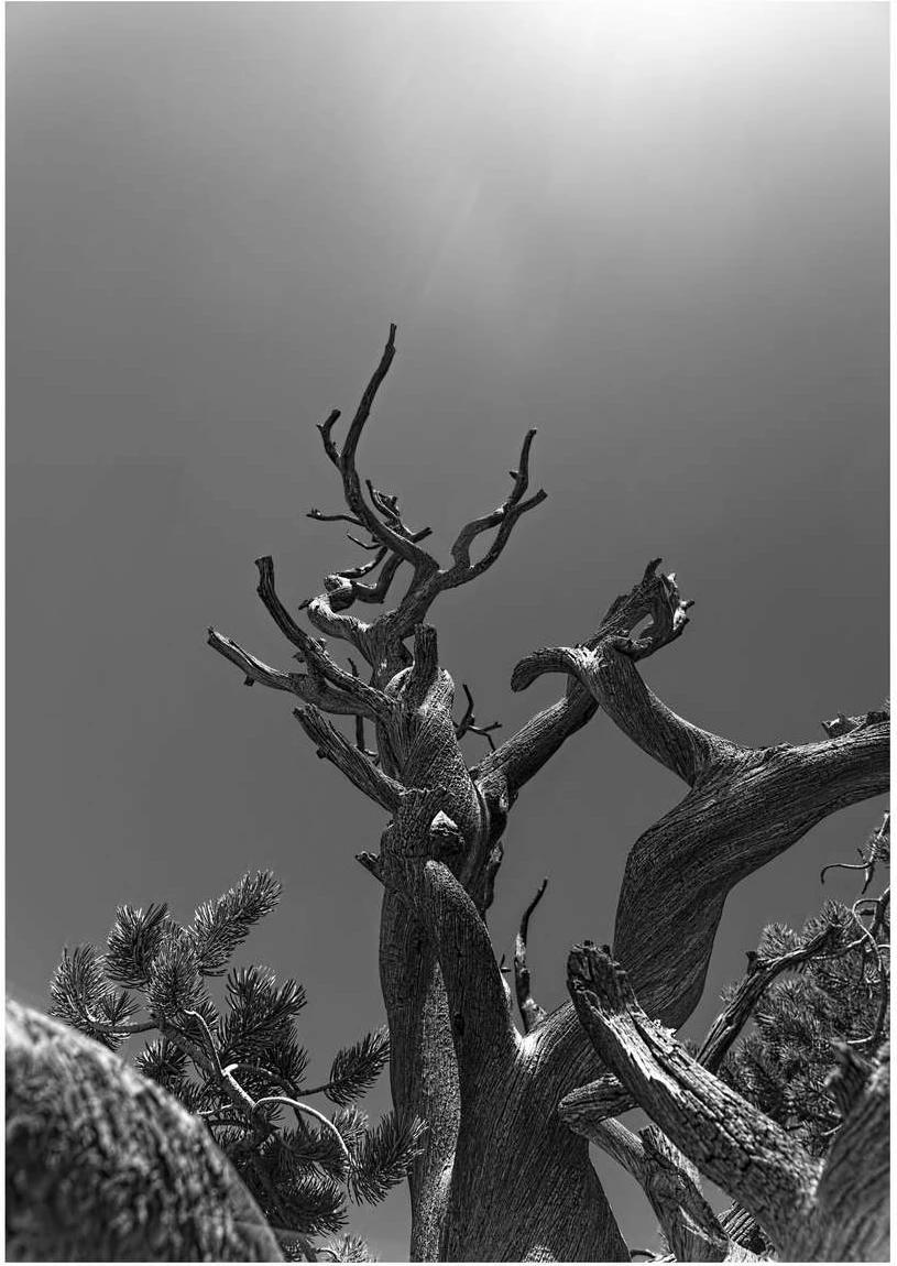 Pikturë dekorative me kornizë MDF, Wallity, Mp-00127, shumëngjyrëshe, 50x70cm