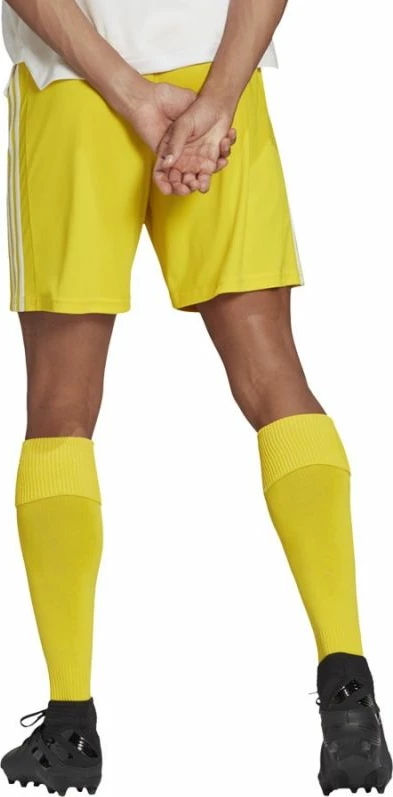 Shorce futbolli për meshkuj adidas, të verdha