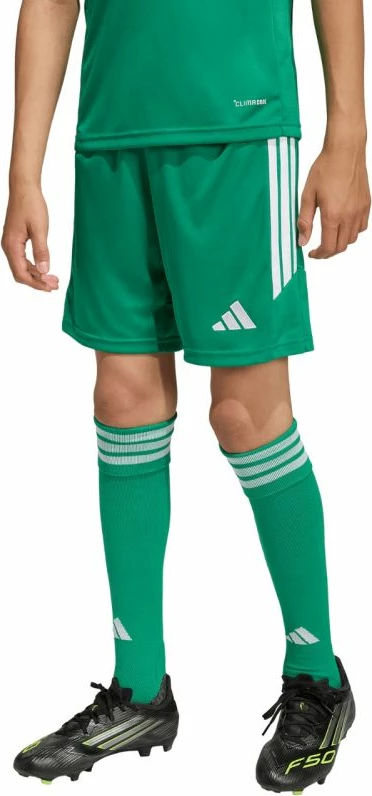 Shorce për fëmijë adidas, të gjelbra