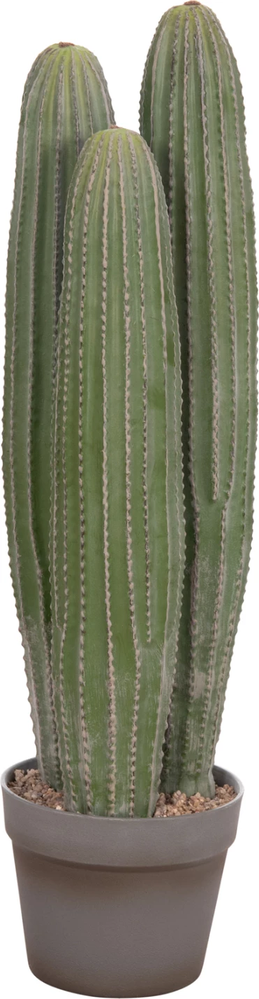 Bimë dekorative sintetike në vazo, lloj kaktusi, FH4743, 16x62cm