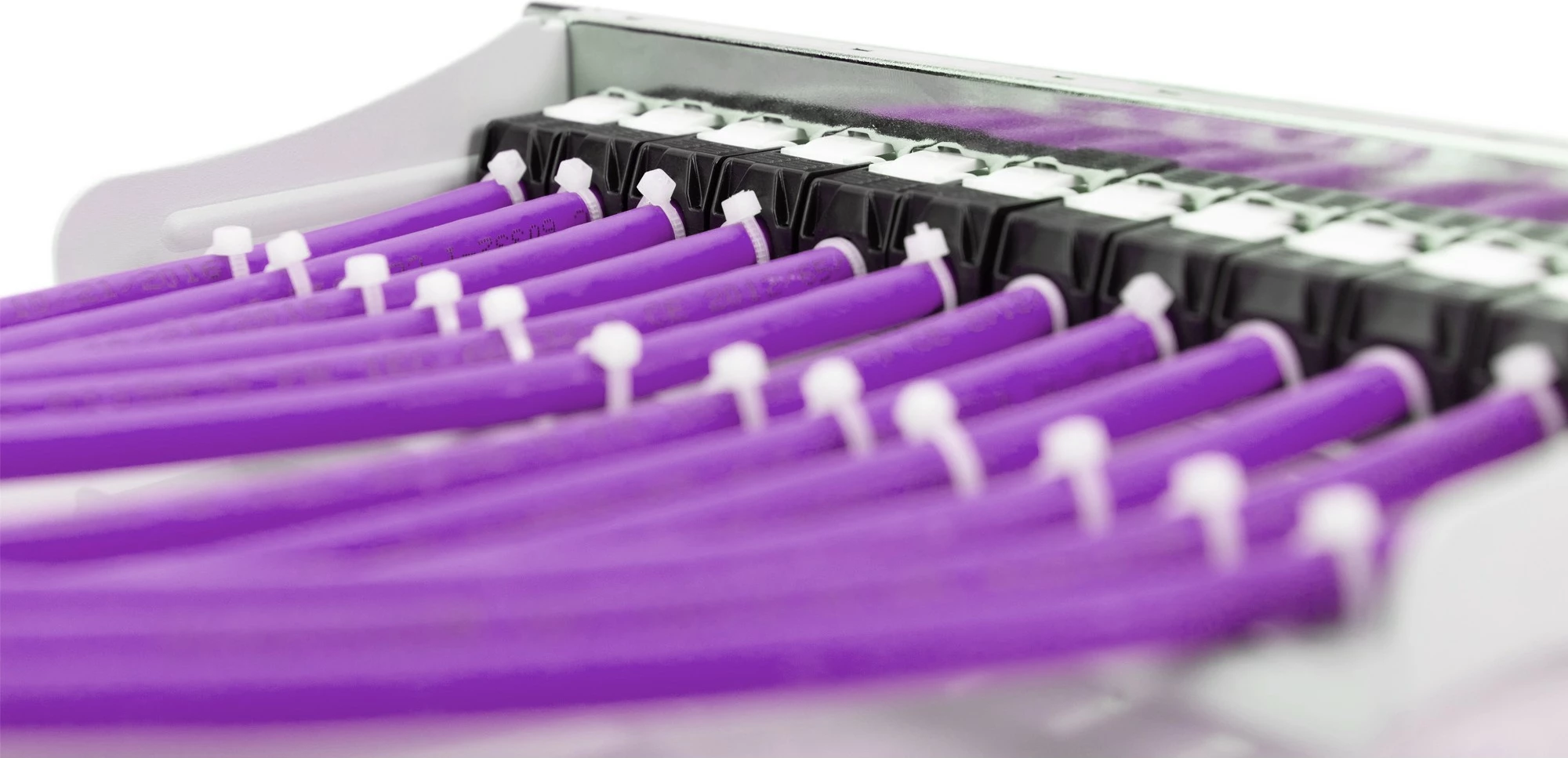 Kabllo rrjeti Digitus Cat6 F/UTP, 100m, LSZH, violet