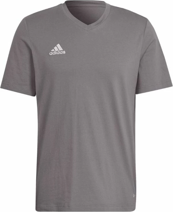 Maicë për Meshkuj adidas Entrada 22 Tee, Gri