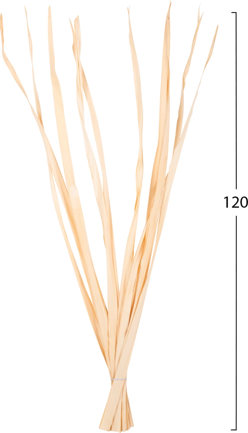 Buqetë dekorative me gjethe të thata, FH7964, 10 copë, natyrale, 120 cm