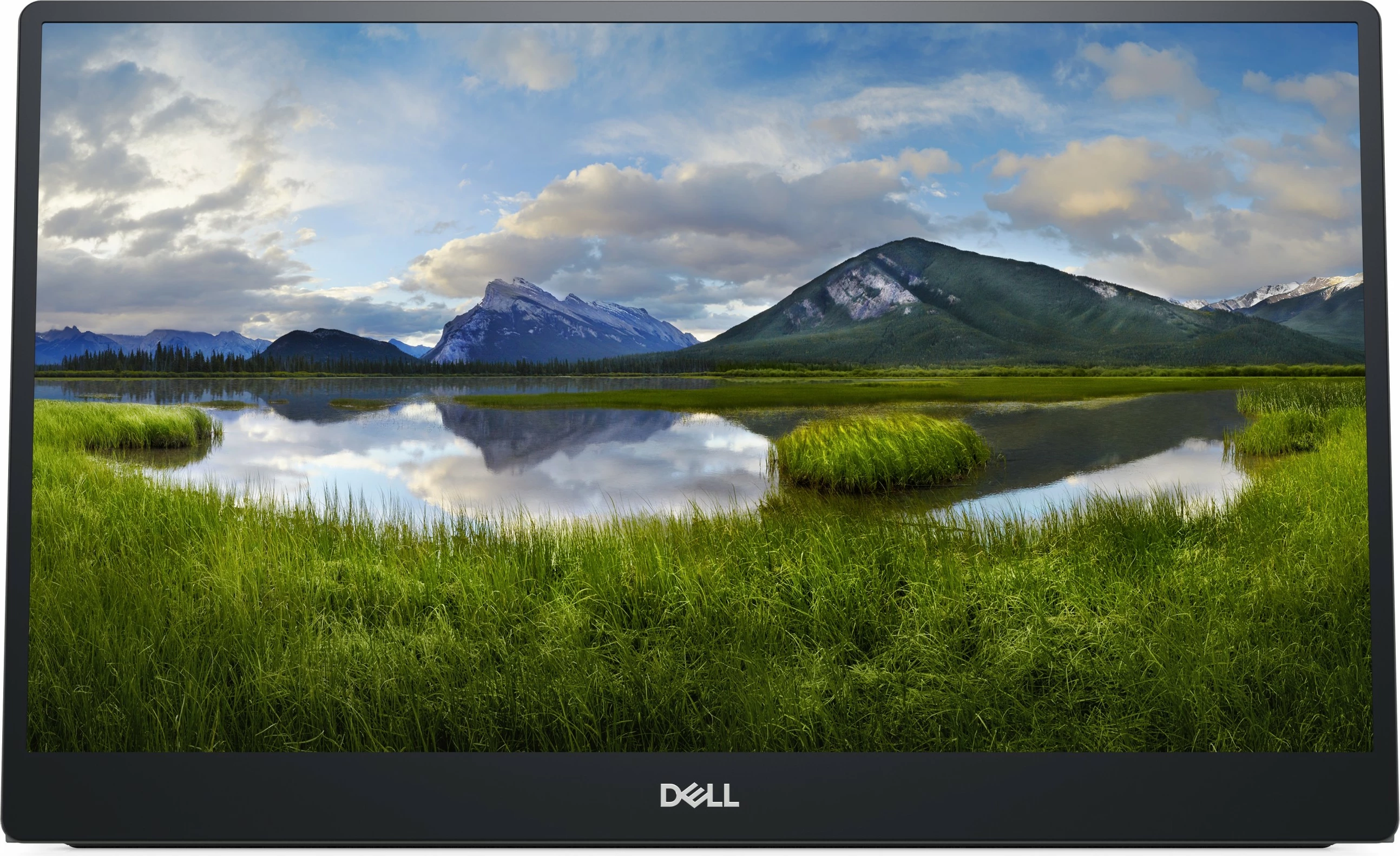 Monitor Dell P1424H, 35.6cm/14'', FHD, LED IPS, 2xUSB-C/DP, i zi