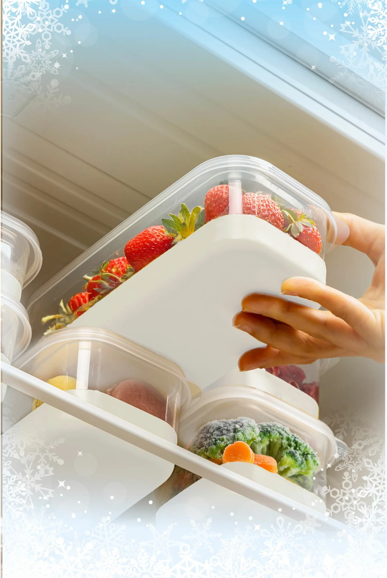 Set organizues për frigorifer (4 copë), Hermia, 4C, ngjyrë gri