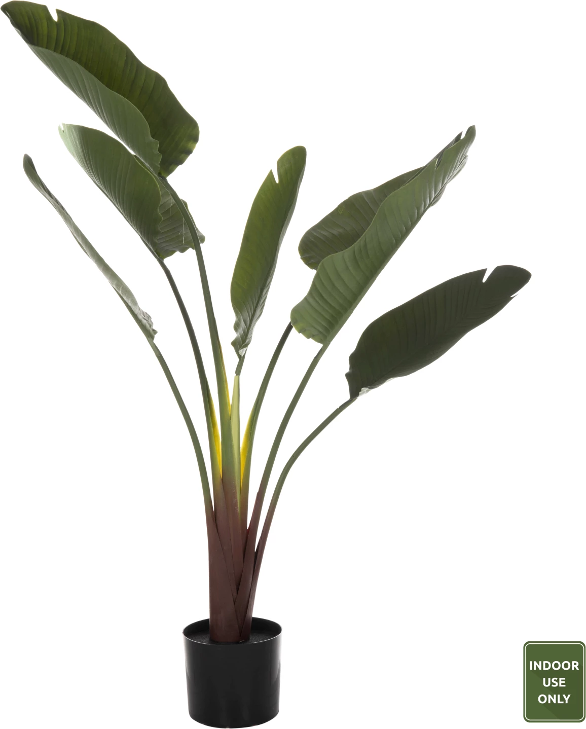 Bimë sintetike dekorative në vazo, FH7981, Strelitziaceae, Φ17x14,5-137Hcm