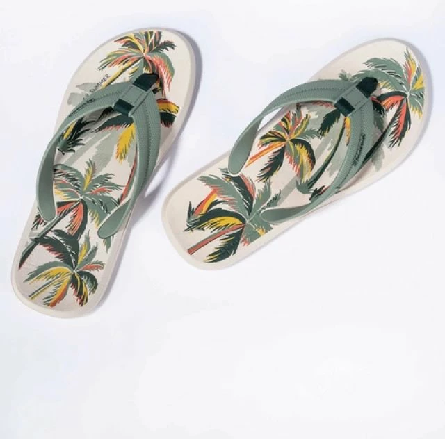 Flip-flopa për meshkuj Ipanema, shumëngjyrëshe