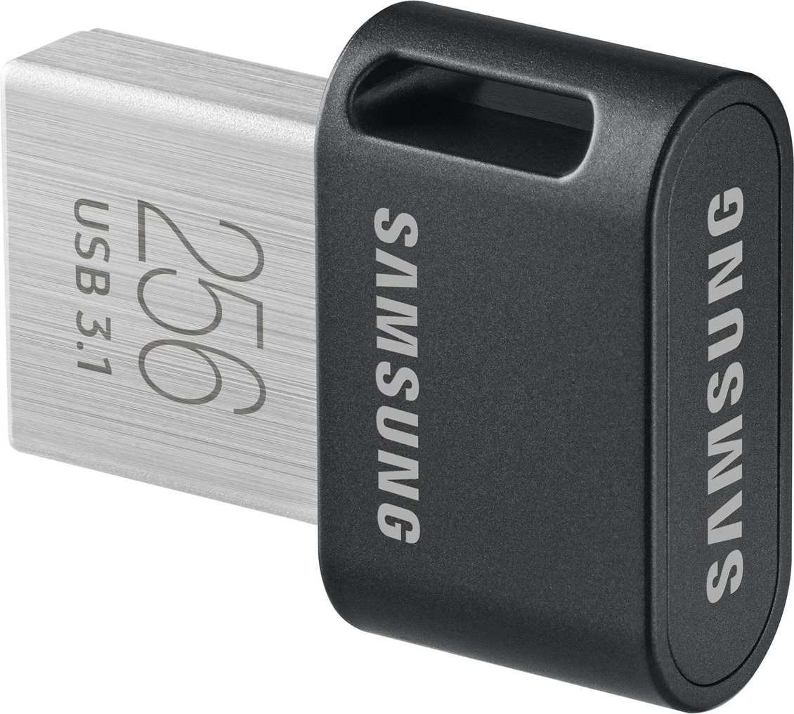USB flash drive Samsung MUF-256AB, 256 GB, USB 3.2 Gen 1, Gri/Argjend