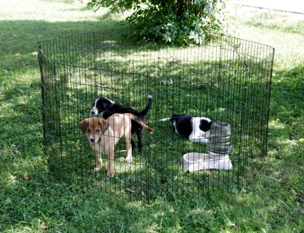 Kafaz modular metalik KERBL Run, 8 pjesë