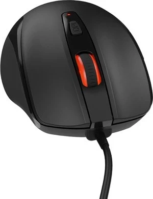 Maus Natec Pigeon 2, i zi