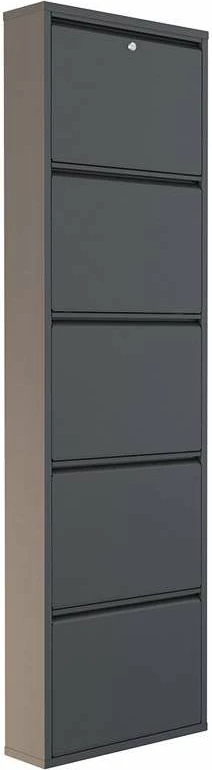 Dollap këpucësh metalik, 5 pjesë, ngjyrë antracit, Skye Decor