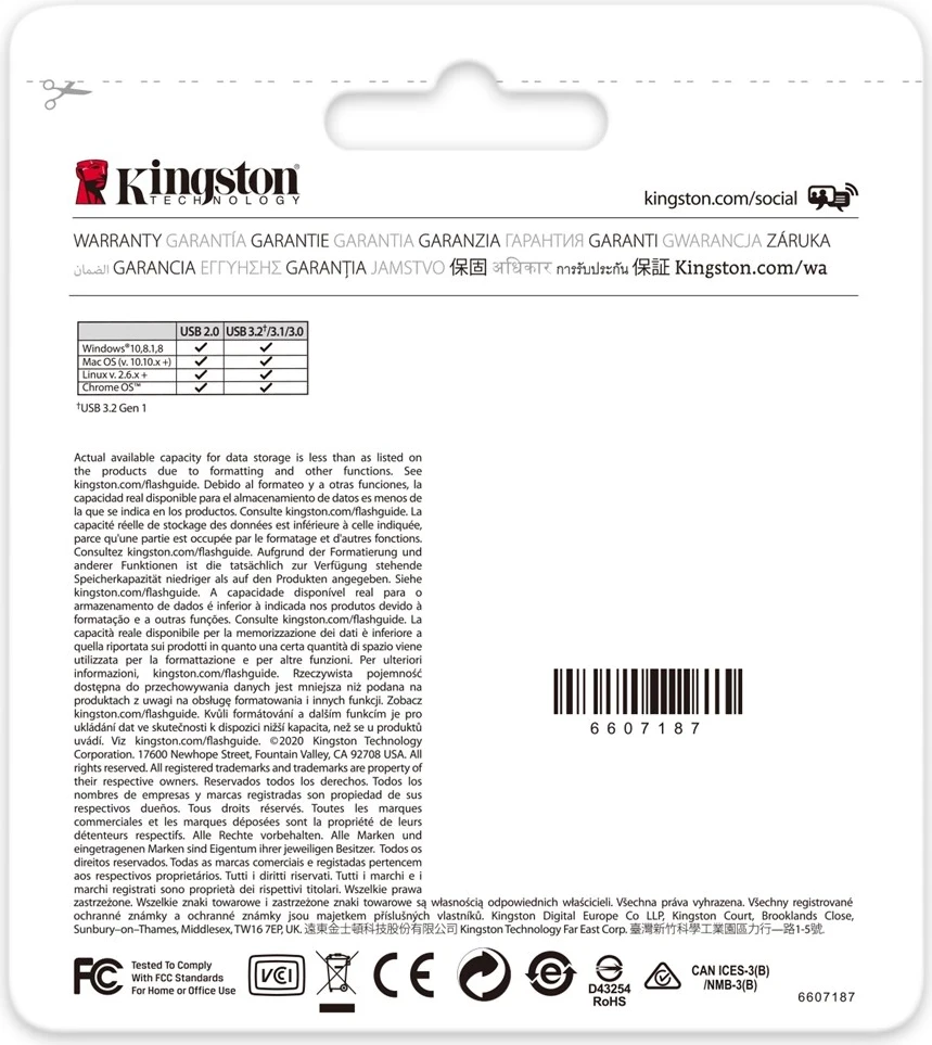 USB Flash Kingston DataTraveler 256GB Kyson, Argjendtë