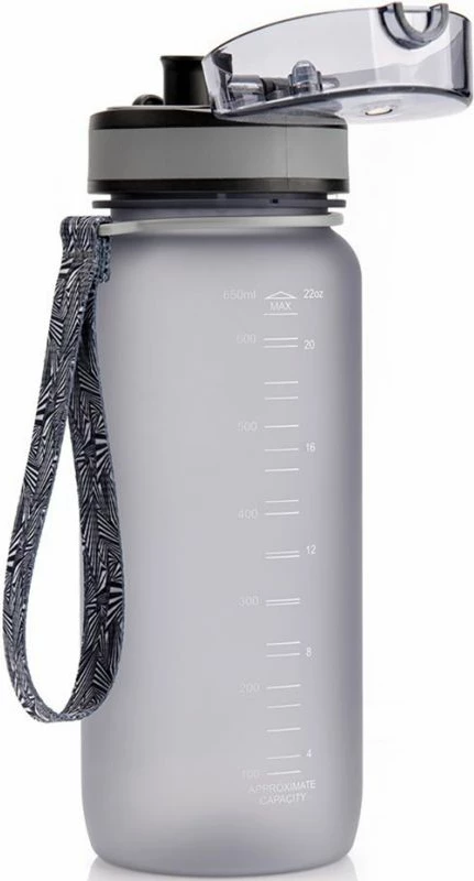 Shishe uji Meteor 650 ml për turizëm/jashtë, gri/argjendtë