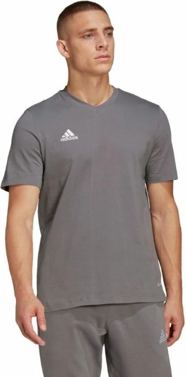 Maicë për Meshkuj adidas Entrada 22 Tee, Gri