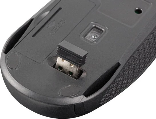 Set Wireless 2në1 NATEC SQUID, US
