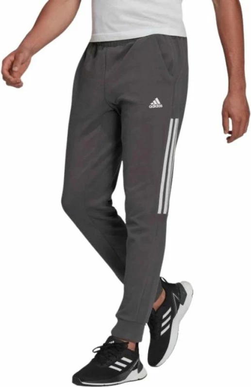 Pantallona sportive për meshkuj adidas, ngjyrë grafit [Madhësia: S]