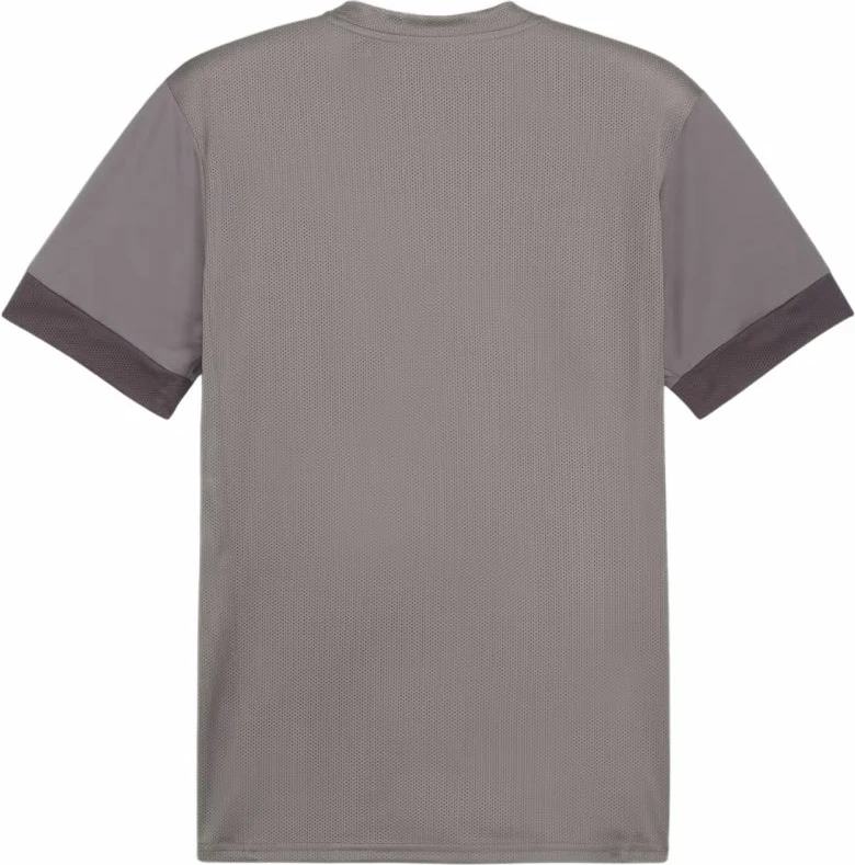 Fanellë për meshkuj Puma, gri