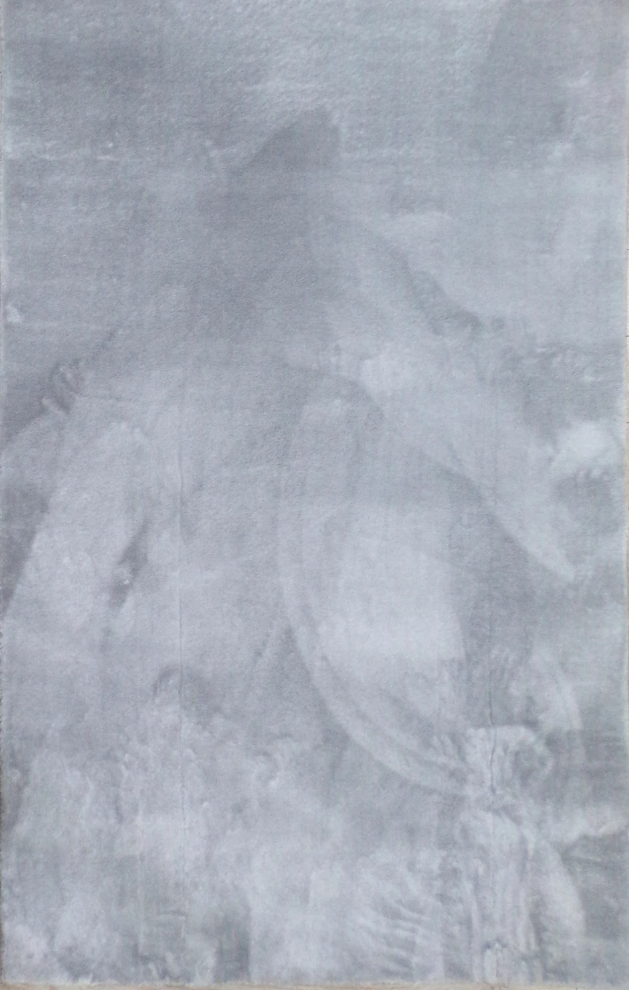 Qilim për korridor, ngjyrë gri e çelët, Conceptum Hypnose, 100x300cm, soft plush