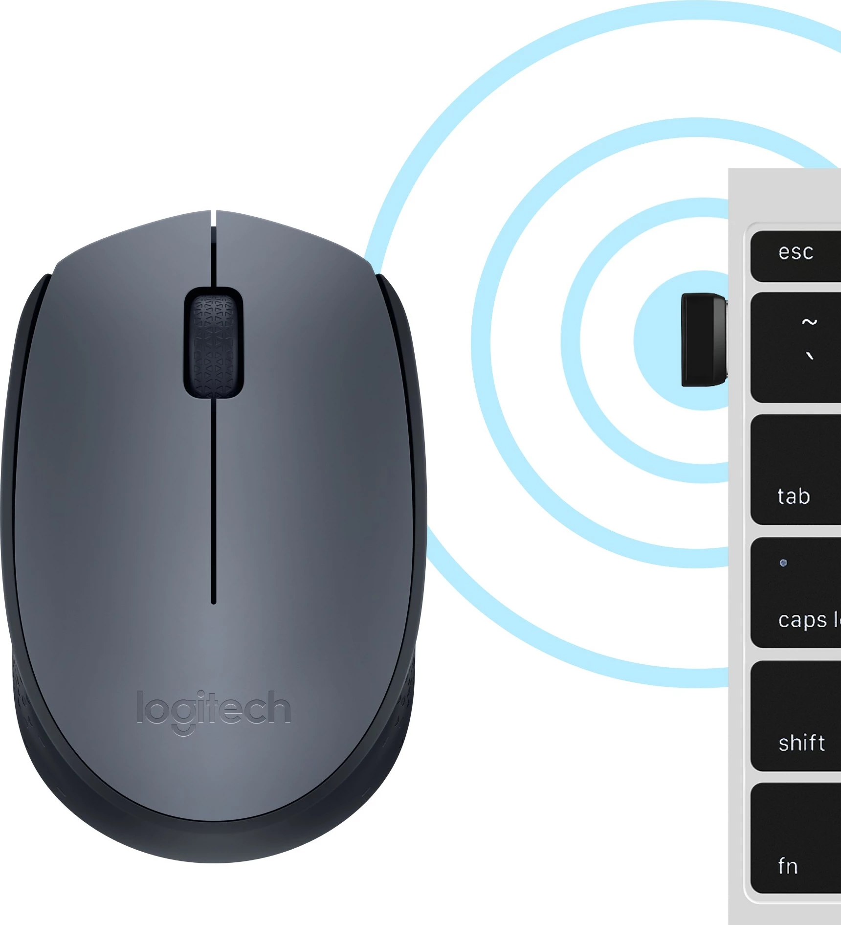 Maus Logitech M170 Wireless, Ambidextrous, Optical, RF Wireless, 1000 DPI, Gri