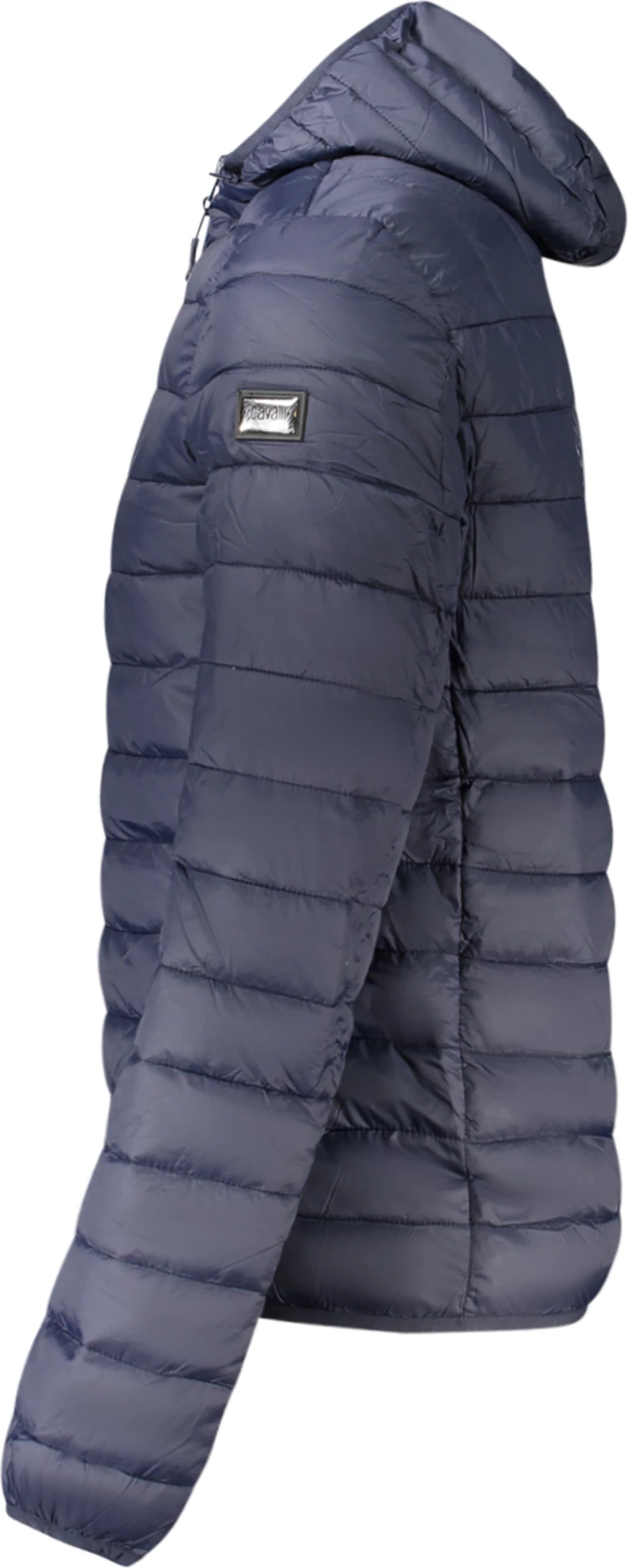 Jakne CAVALLI CLASS meshkuj, blu