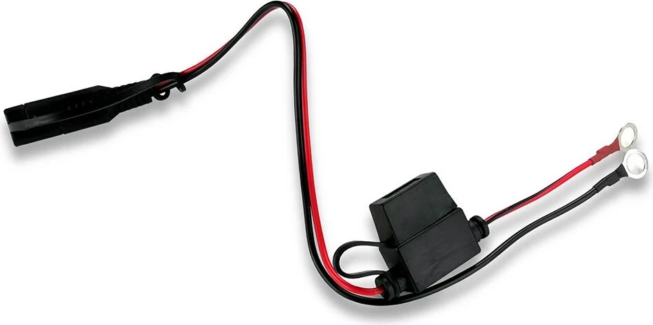 Karikues i baterisë së makinës everActive, 6-12V