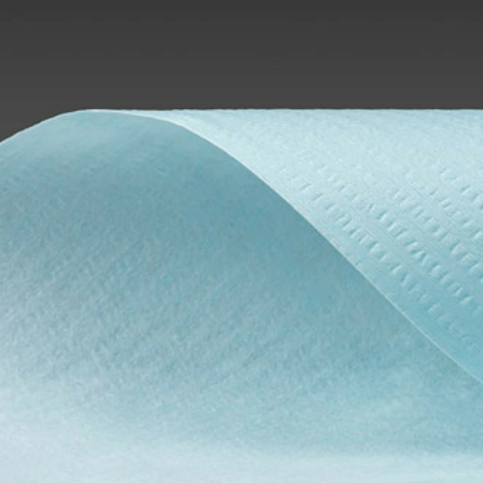 Leckë pastruese industriale ProfiSauber BASIC PLUS 250, 250 fletë, blu