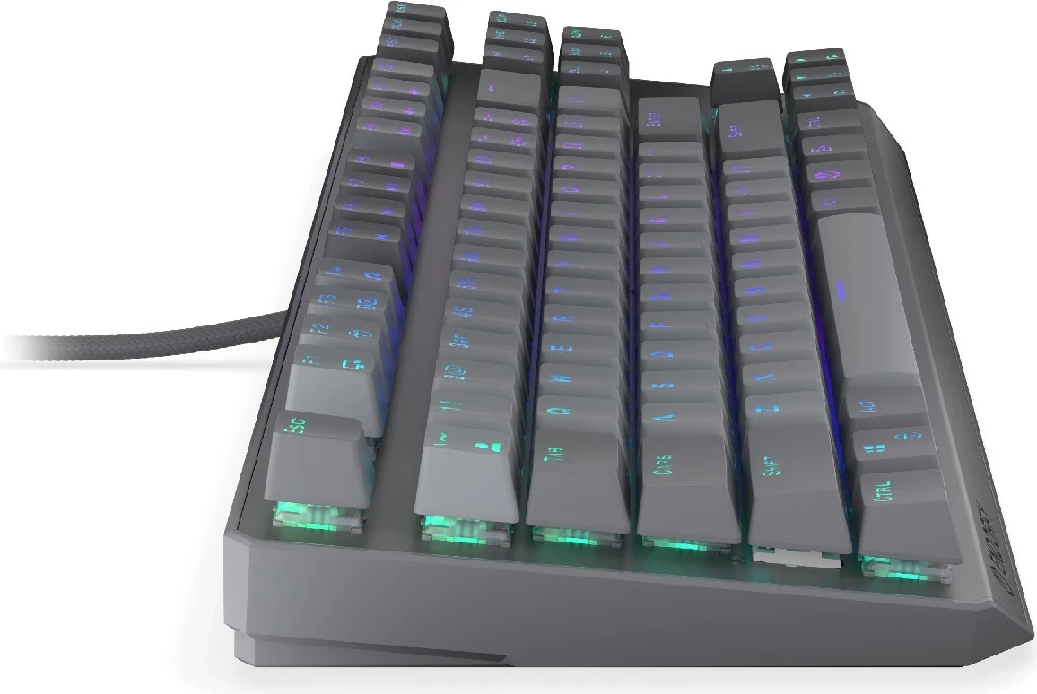 Tastierë mekanike Endorfy Thock V2 TKL, RGB, 80%, Hot-Swap, USB-C, gri