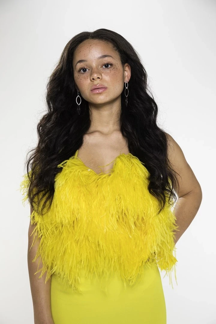 Hekur për drejtuar flokët BaBylissPRO ELIPSIS3000, Ngrohës, i Zi, 55 W