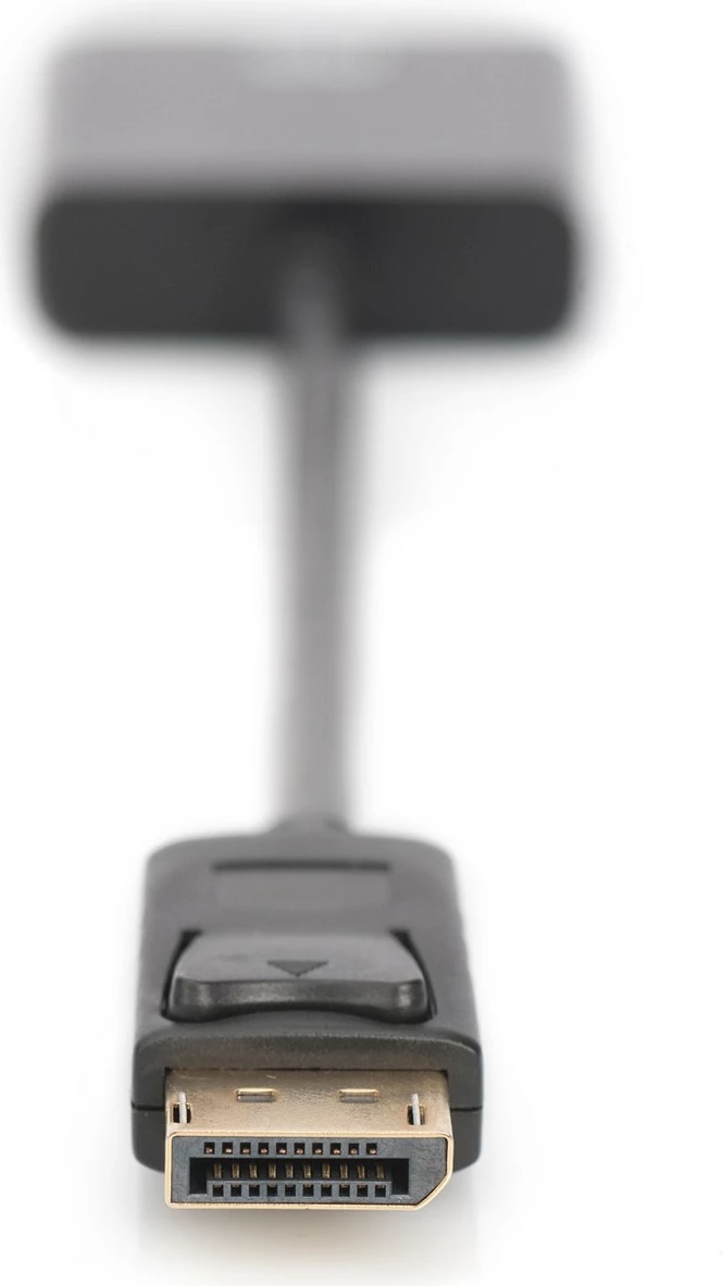 Adapter DisplayPort Digitus, 0.15 m, DVI-I, i zi