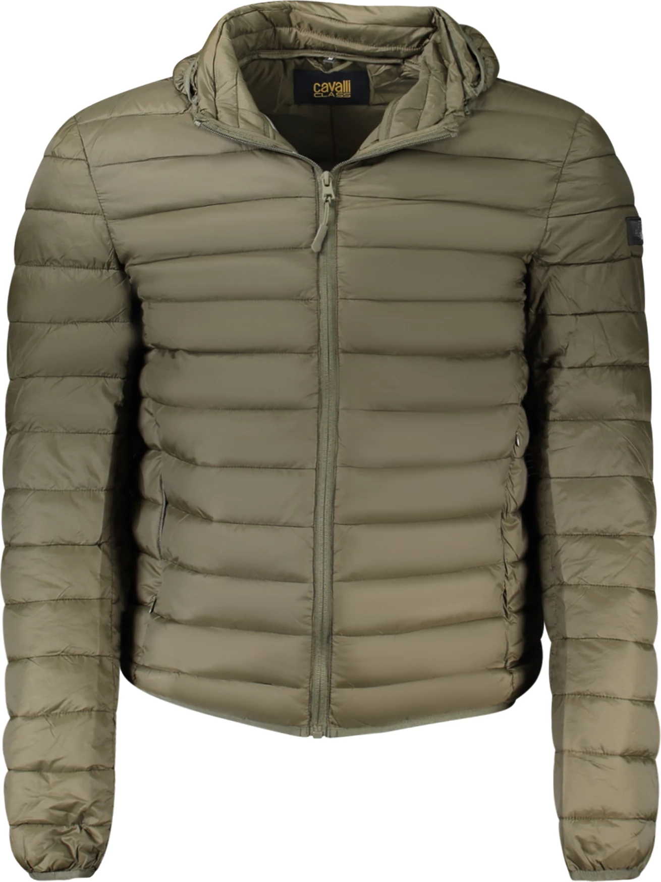 Jakne për meshkuj CAVALLI CLASS, e gjelbër