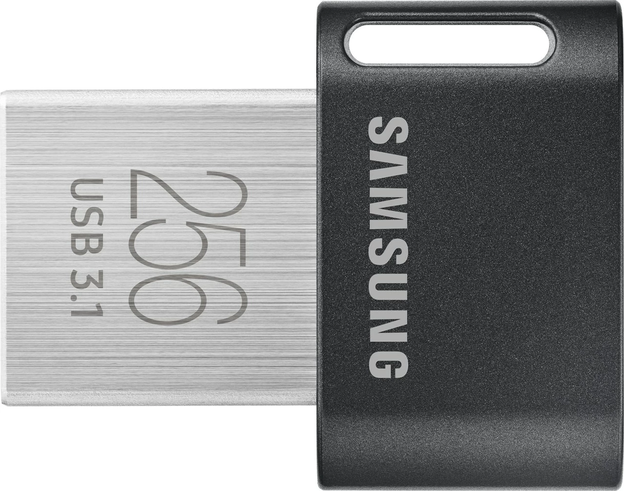 USB flash drive Samsung MUF-256AB, 256 GB, USB 3.2 Gen 1, Gri/Argjend