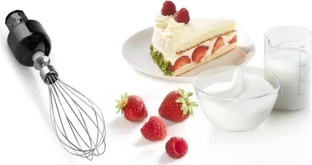 Blenderi dorës Bosch ErgoMixx, 750W, me ngjyrë zi-argjend