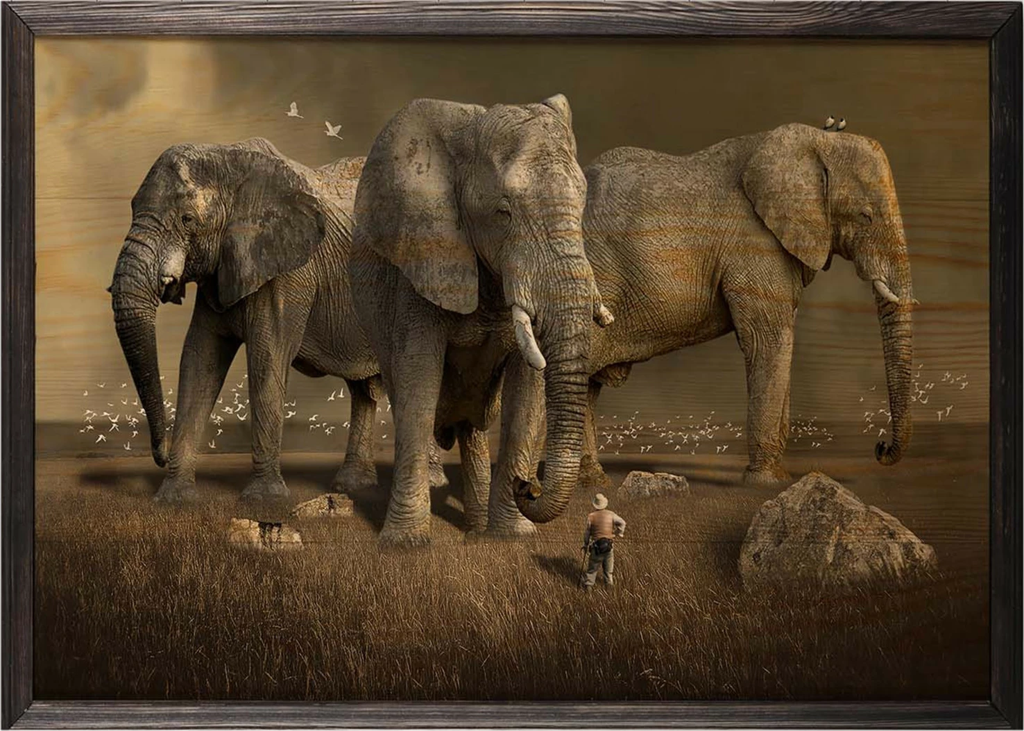 Pikturë dekorative me kornizë druri, elefantë, Wallity, XL