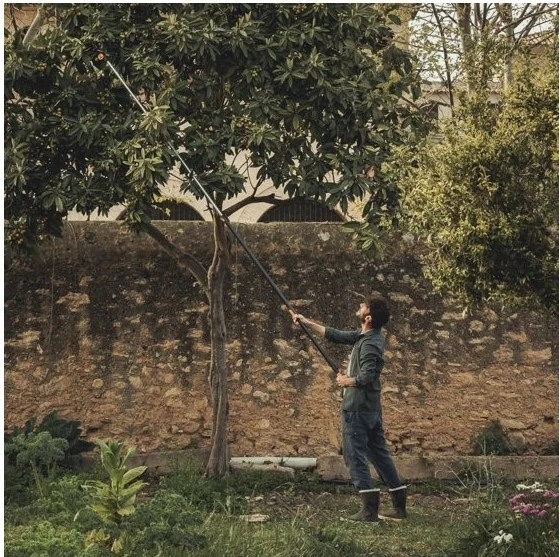 Krasitës teleskopik Fiskars PowerGear X UPX86, i zi/portokalli