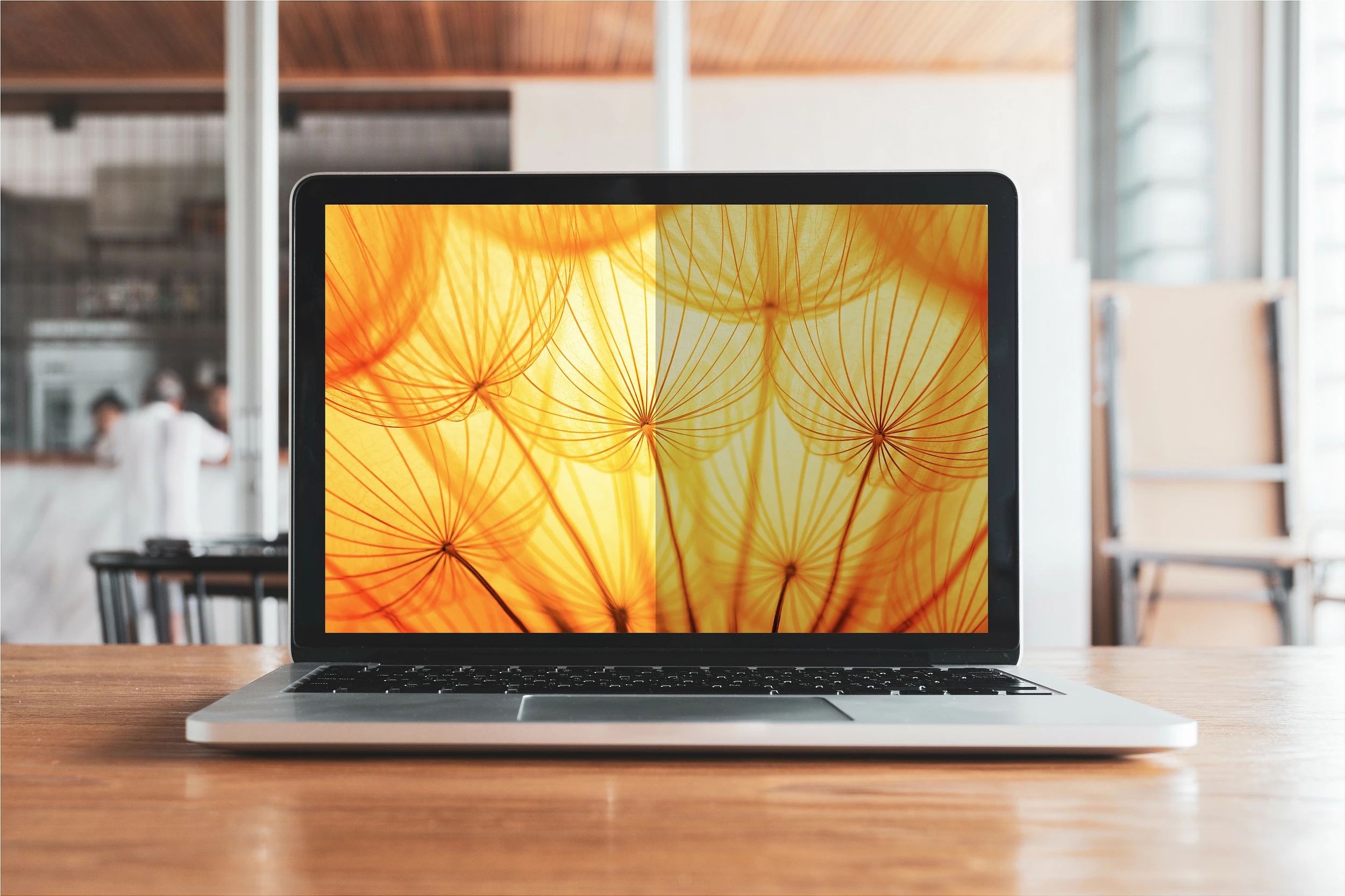 Filtër privatësie 3M për HP ProBook x360 435 G8, 14 inç, 16:9, anti-refleks, filtër dritë blu