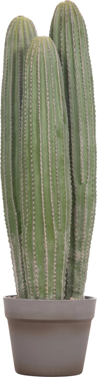 Bimë dekorative sintetike në vazo, lloj kaktusi, FH4743, 16x62cm