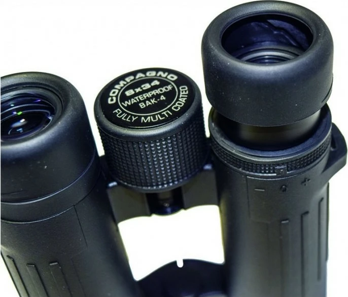 Dylbi Braun Compagno 10x34 WP i zi