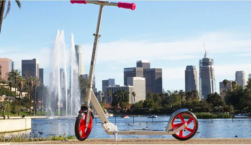 Skuter për fëmijë Razor, i argjendtë