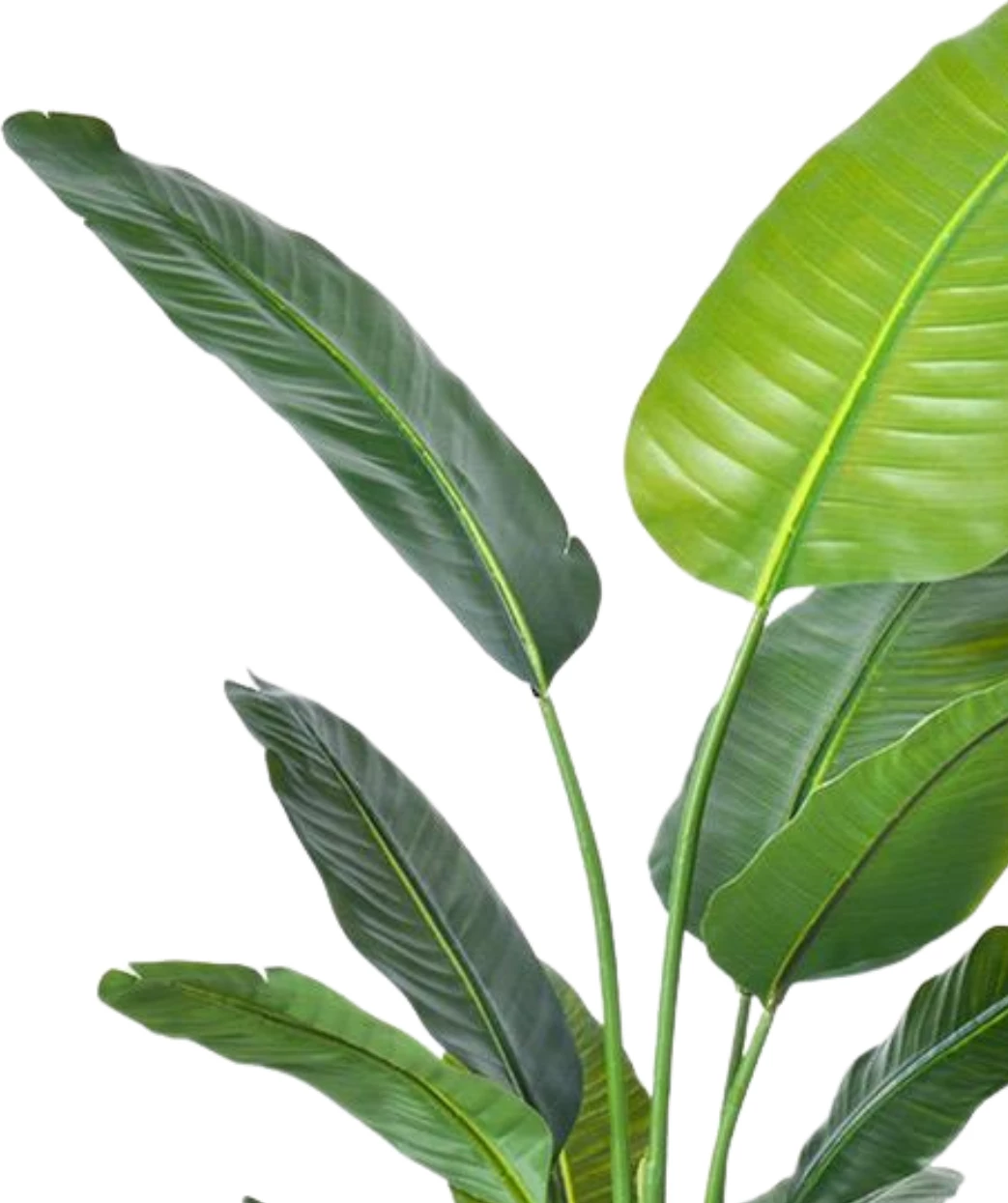 Bimë artificiale Travellers‘ Palm, 120 cm