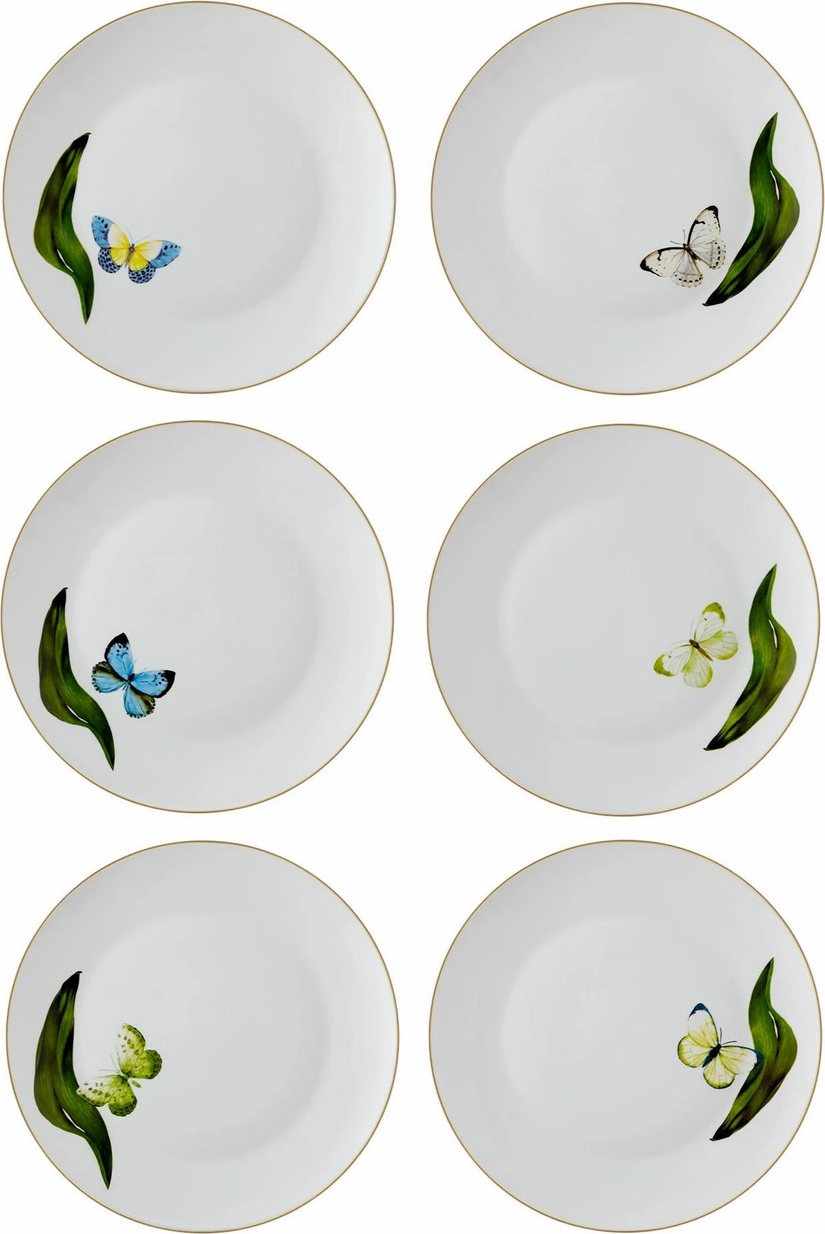 Set pjatash shërbimi (6 copë), Hermia, DNR0064